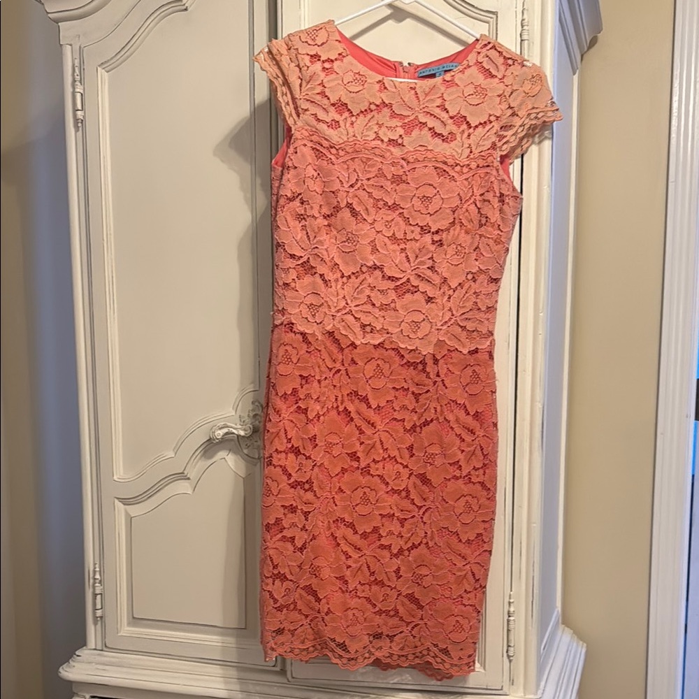 Antonio Melani Coral Ombré Lace Dress